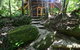 Daintree Cascades - thumb 7