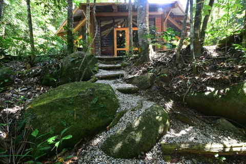 Daintree Cascades - New South Wales Tourism  7