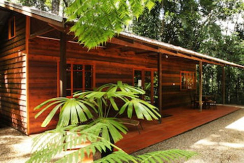 Daintree Cascades - New South Wales Tourism  0