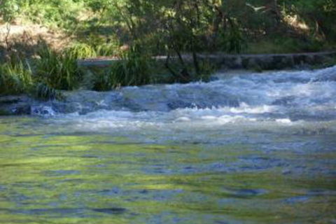 Havans Ecotourist Retreat - New South Wales Tourism  2