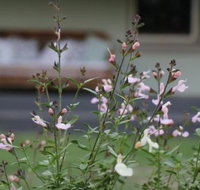 Serendipity on Allyn - New South Wales Tourism 