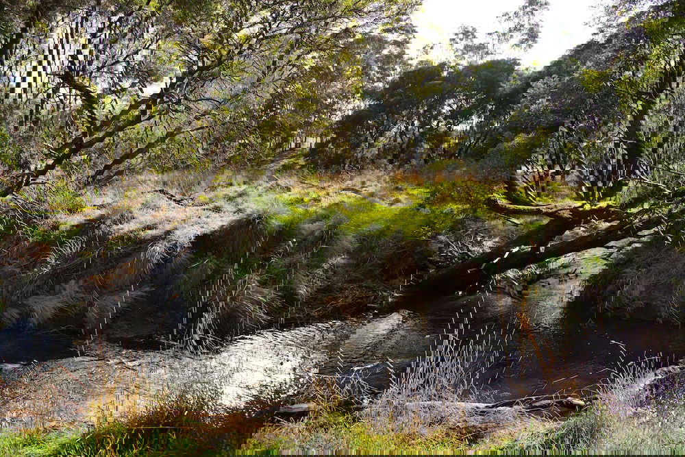 Glenlyon VIC New South Wales Tourism 