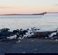 Hilton Motel - New South Wales Tourism 