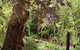 Hilltop - thumb 3