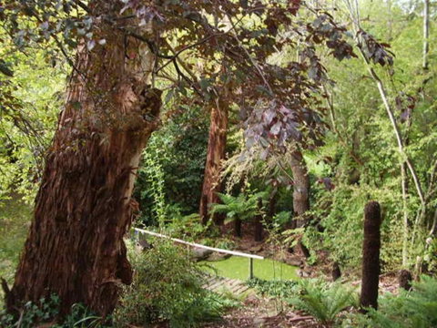 Hilltop - New South Wales Tourism  3