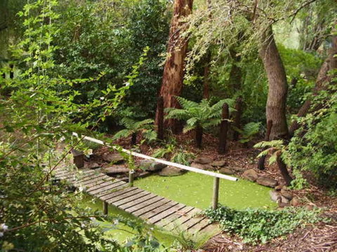 Hilltop - New South Wales Tourism  6