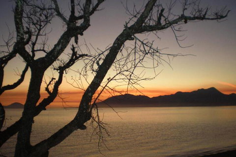 Daintree Village Hideaway - New South Wales Tourism  3