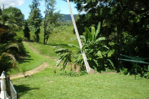 Daintree Village Hideaway - New South Wales Tourism  5