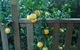 Highclaire House Bed & Breakfast - thumb 4