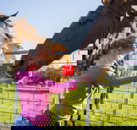 Freshwater Creek Cottages and Farm Stay - New South Wales Tourism 