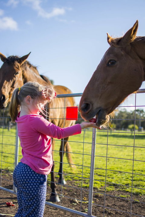 Freshwater Creek Cottages And Farm Stay - New South Wales Tourism  0