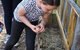 Freshwater Creek Cottages And Farm Stay - thumb 4