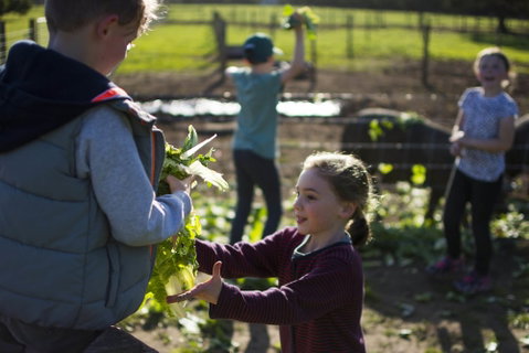 Freshwater Creek Cottages And Farm Stay - New South Wales Tourism  3