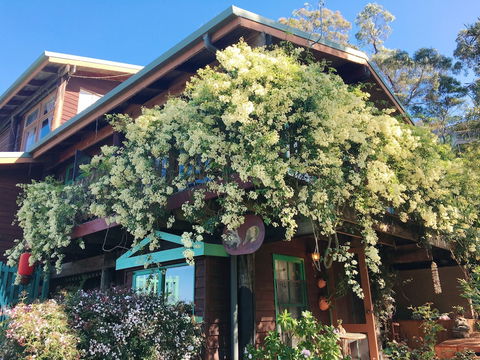 The Goat And Goose B&B - New South Wales Tourism  4