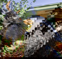 Big4 Shepparton Park Lane - New South Wales Tourism 