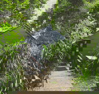 Montagues of Montville - New South Wales Tourism 