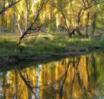 On The Banks - New South Wales Tourism 