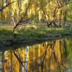 On The Banks - New South Wales Tourism  0