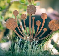 Bed of Roses - New South Wales Tourism 