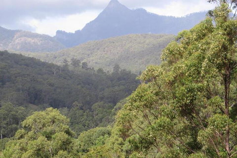 Babbling Brook Retreat - New South Wales Tourism  7