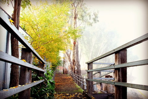 CocknBull Boutique Hotel - New South Wales Tourism  3
