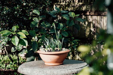 Genesta House B&B - New South Wales Tourism  3