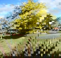 Bairnsdale Main Motel - New South Wales Tourism 