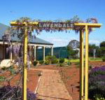 Lavendale Farmstay  Cottages York - New South Wales Tourism 