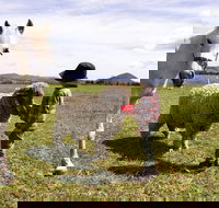 Taras Richmond Farmstay - New South Wales Tourism 