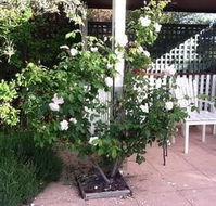 Ellesmere House - New South Wales Tourism 