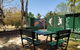 Palm Court Budget Motel Hostel/Backpackers - thumb 3