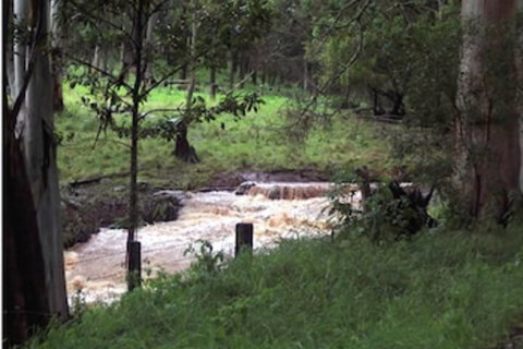 Spring Creek Mountain Cafe & Cottages - New South Wales Tourism  5