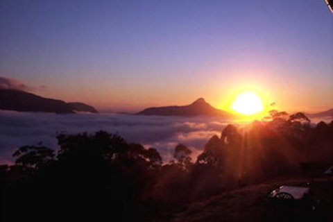 Spring Creek Mountain Cafe & Cottages - New South Wales Tourism  6