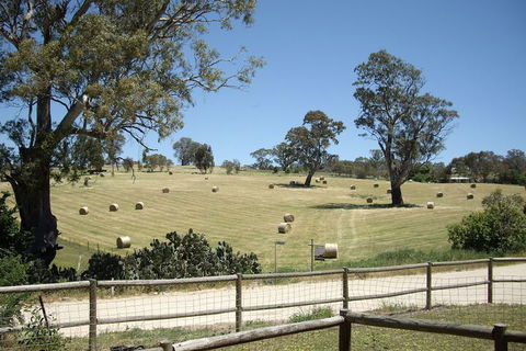 1860 Wine Country Cottages - New South Wales Tourism  4