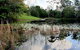 Montville Country Cabins - thumb 2