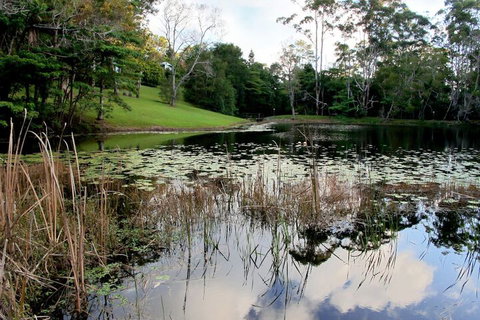 Montville Country Cabins - New South Wales Tourism  2