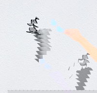 The Sails Motel Brunswick Heads - New South Wales Tourism 