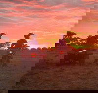 Corynnia Station - New South Wales Tourism 