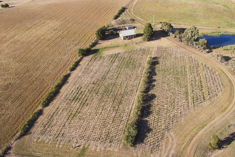 Charles Reuben Estate - New South Wales Tourism  1