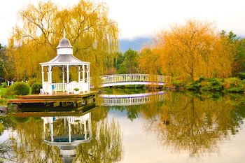Lakeside Cottage - New South Wales Tourism  5