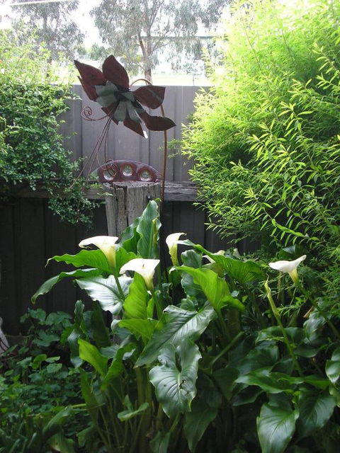 C & As Cottage - New South Wales Tourism  2