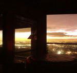 Bonza View