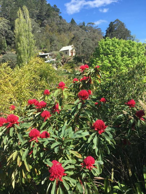 Stringers Cottage - New South Wales Tourism  1