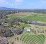 McCaffreys Estate - New South Wales Tourism 