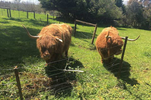 Neerim Country Cottages - New South Wales Tourism  2