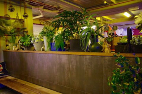 Sow And Piglets Guesthouse - New South Wales Tourism  0