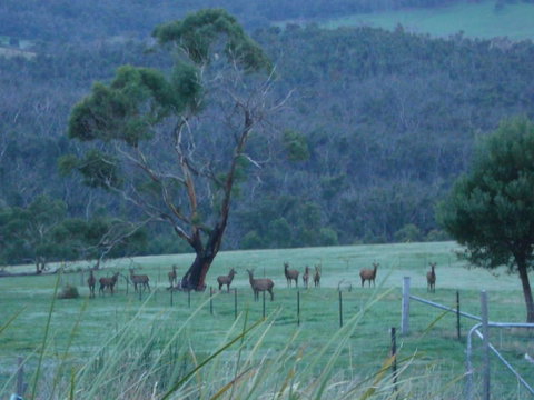 Hawksview At Mafeking - New South Wales Tourism  3