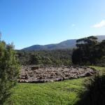 Hawksview At Mafeking - New South Wales Tourism  0