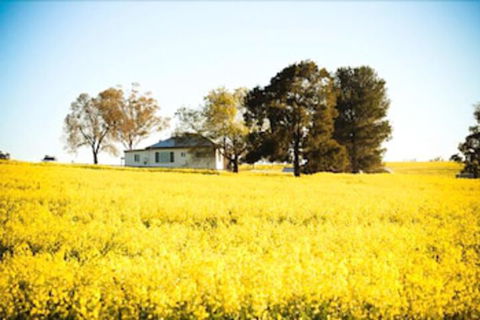 Colenso Country Retreat - New South Wales Tourism  4