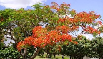 Chatsworth QLD New South Wales Tourism 